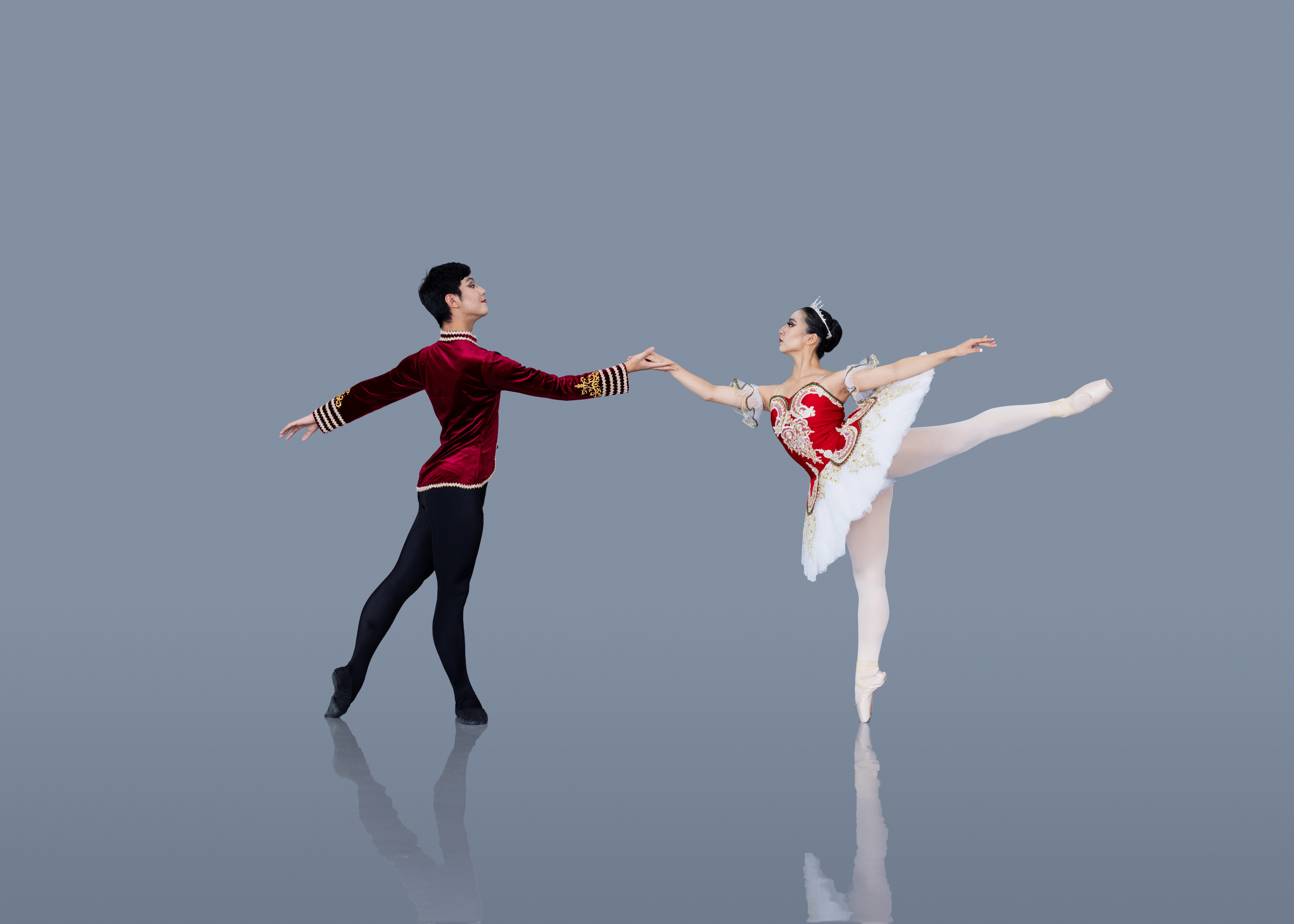 Elegance Ballet Studio Dancer